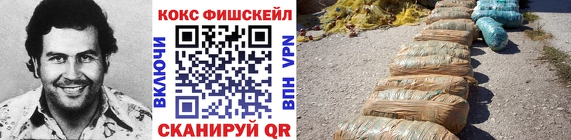 Cocaine Fish Scale  Купить  Аркадак 