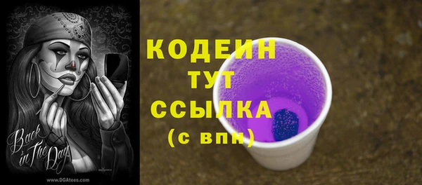 СК Коряжма