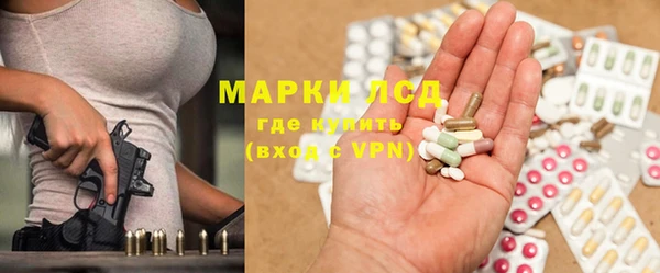 СК Коряжма