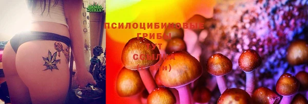 MDMA Premium VHQ Костерёво
