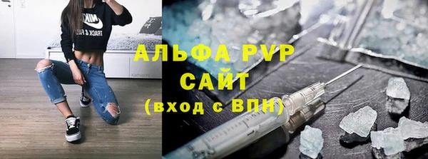 СК Коряжма